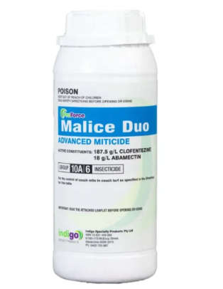 Lawn Pride Indigo Malice Duo