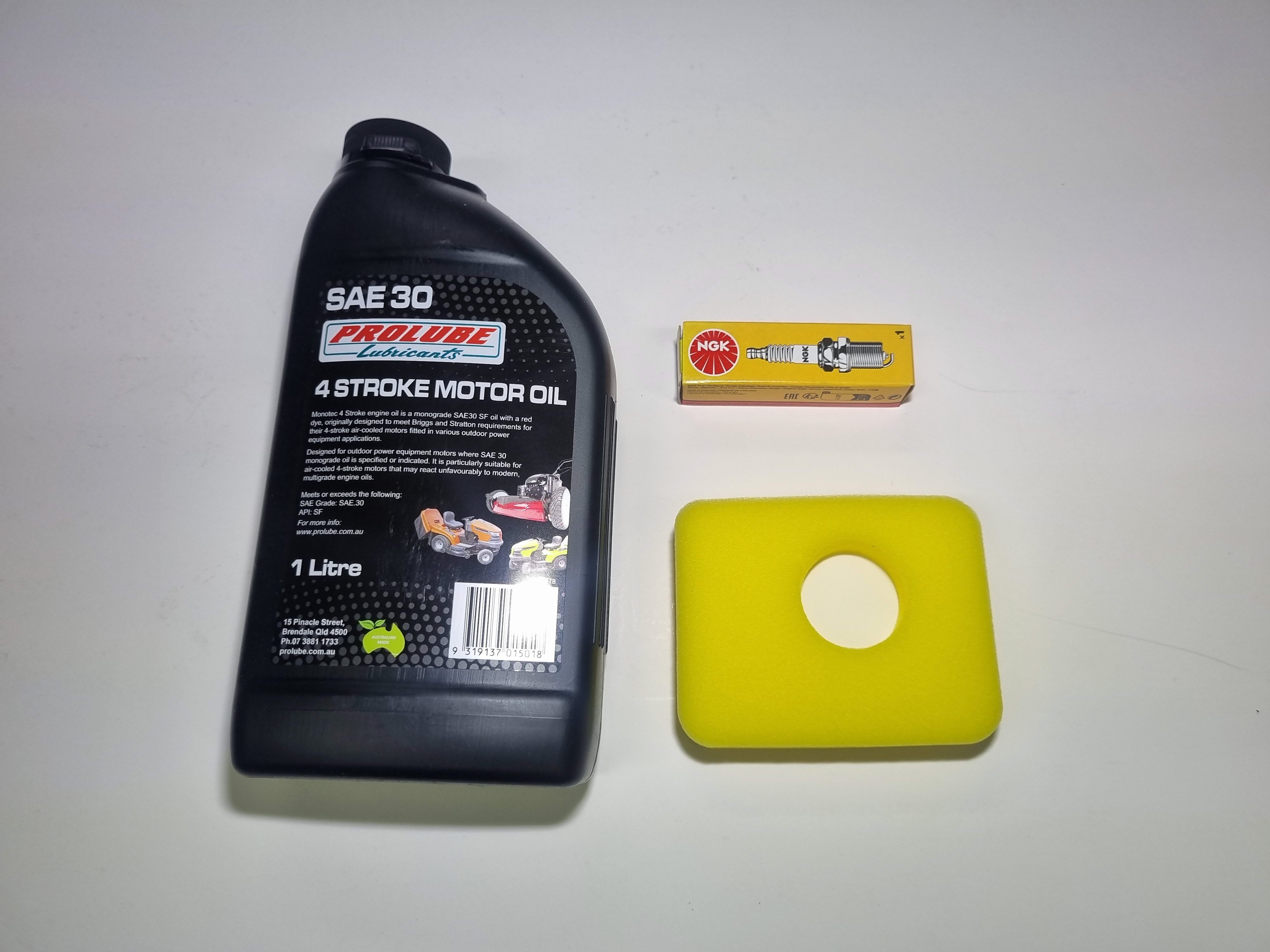 Briggs and Stratton 450E