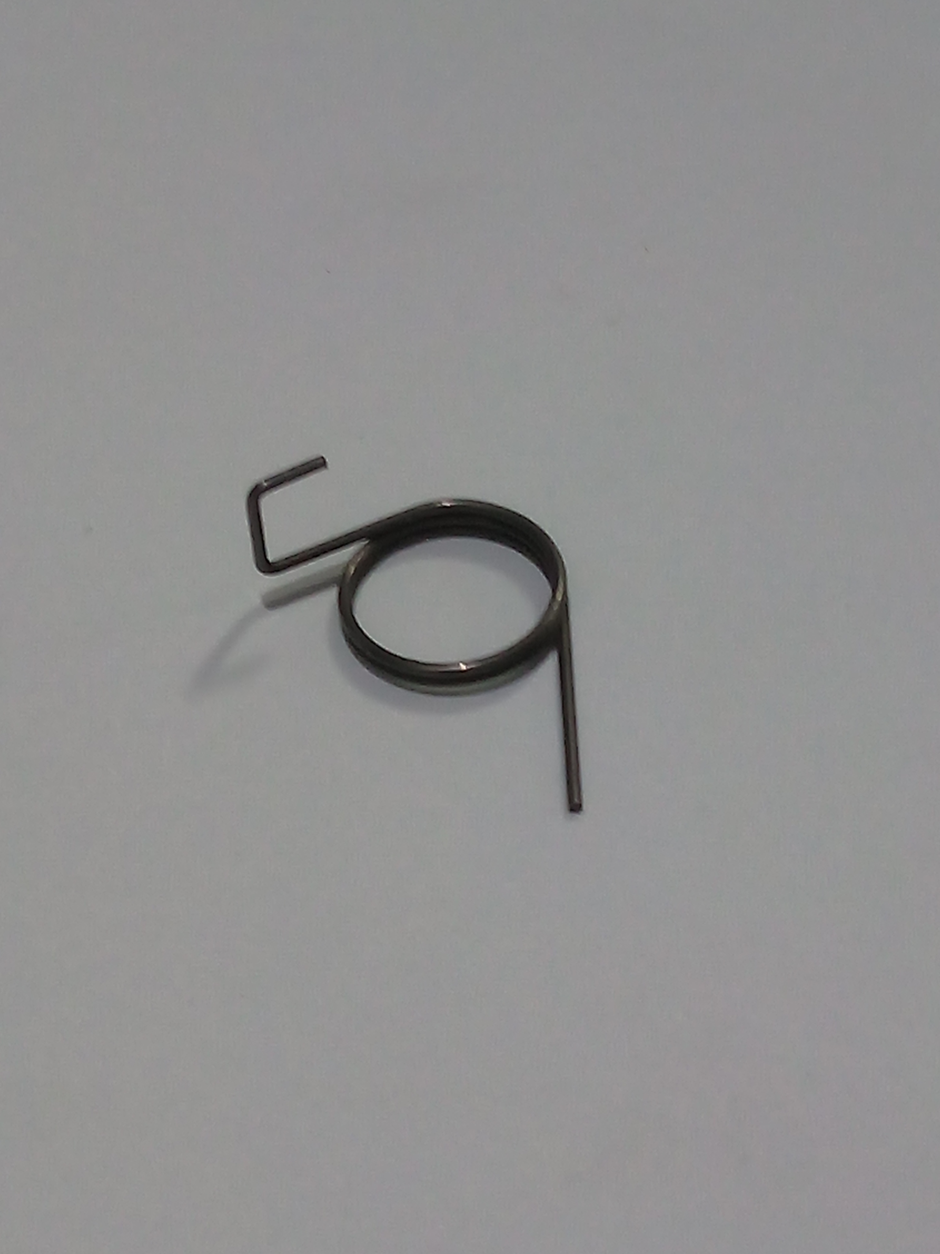 529 25 96-01 Throttle Spring