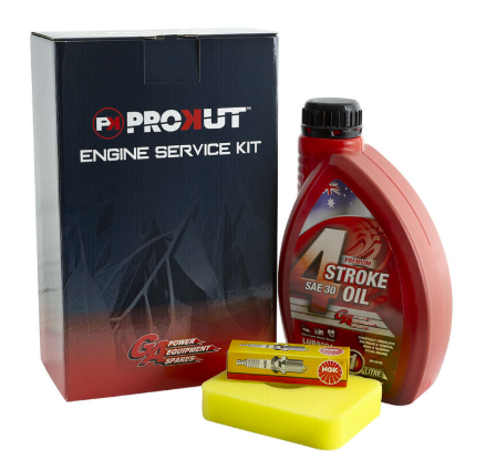 Engine Service Kit B&s 450e