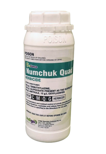 Indigo Numchuk Quad 1L