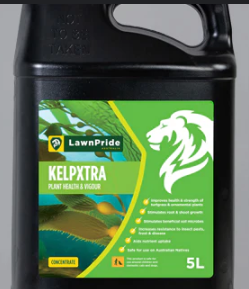 Kelpxtra