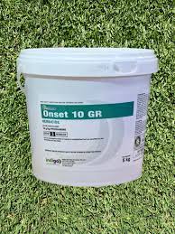 Onset 10GR 5Kg